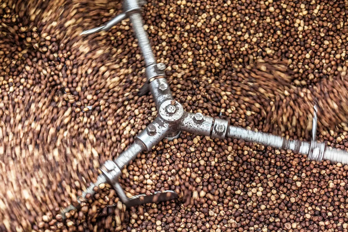 Lavorazione delle nocciole nella produzione Deanocciola